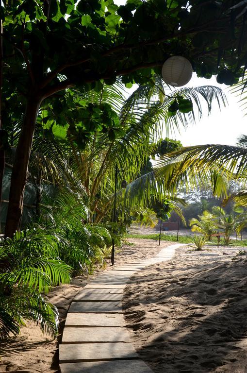 באג'ה Little India Beach Cottages מראה חיצוני תמונה