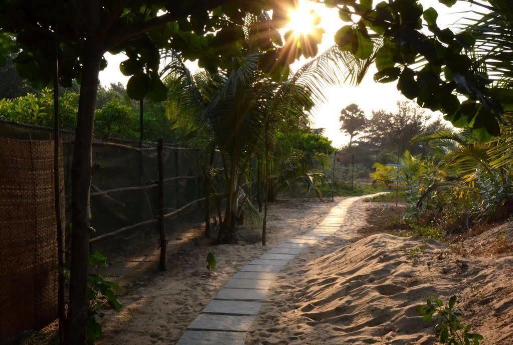 באג'ה Little India Beach Cottages מראה חיצוני תמונה
